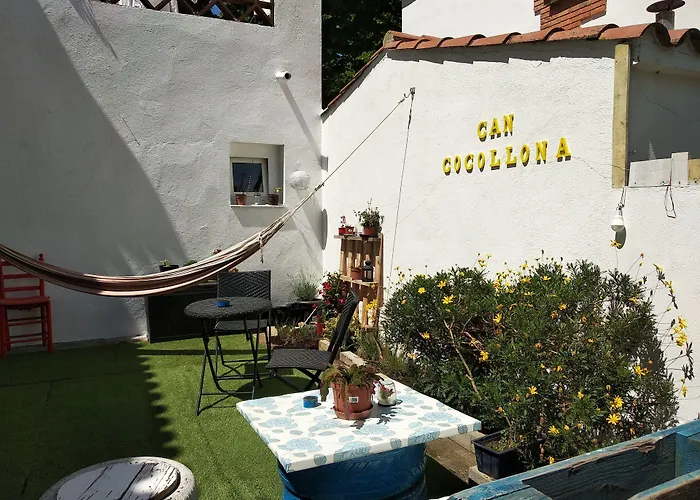 Cocollona * Girona