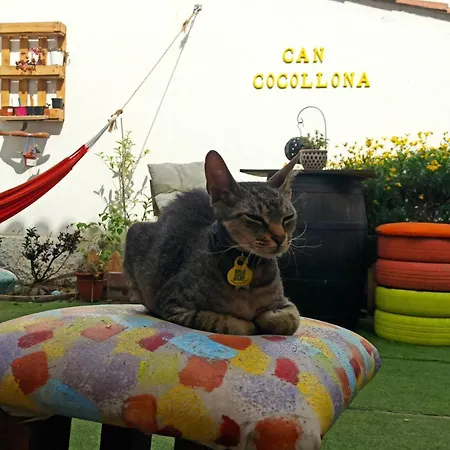 Cocollona Vandrerhjem