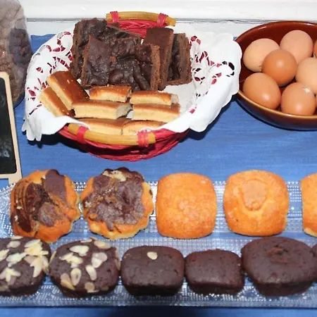 Hostel Cocollona Gerona