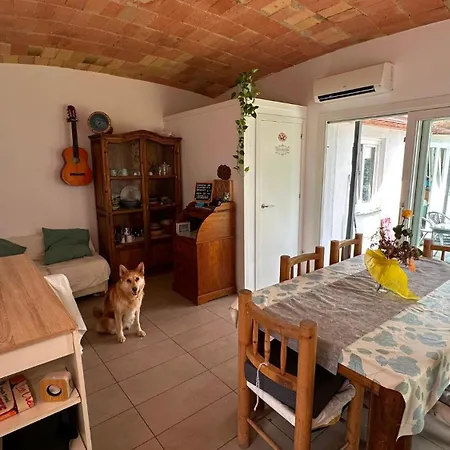 Hostal Cocollona