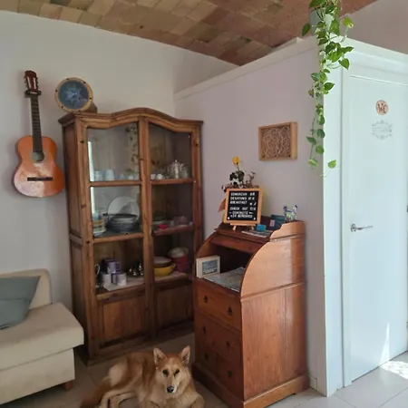 Cocollona Hostal *