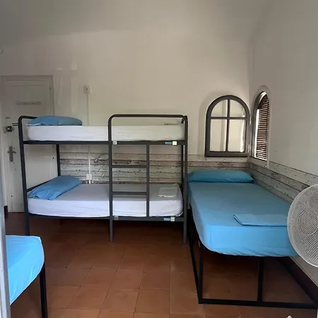 Cocollona