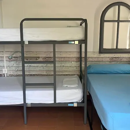 Cocollona * Χιρόνα