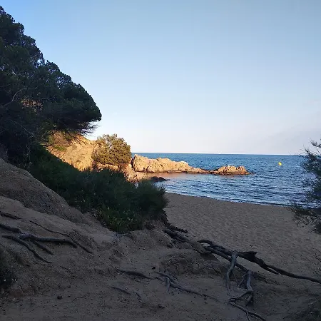 Cocollona Vandrerhjem