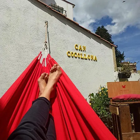 Cocollona بيت شباب *