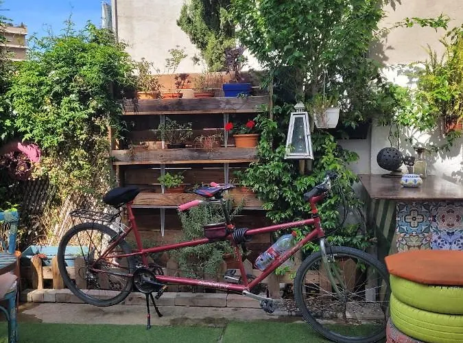 Cocollona Хостел *