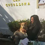 Cocollona *